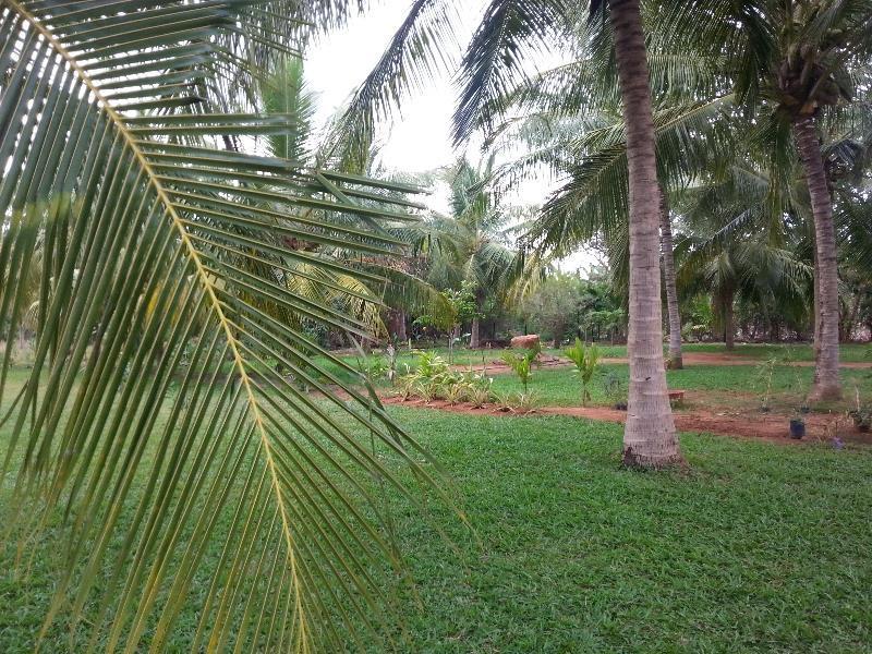 Serenity Lake Resort Yala Tissamaharama Buitenkant foto