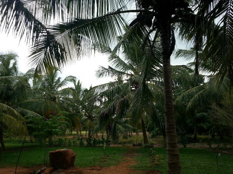 Serenity Lake Resort Yala Tissamaharama Buitenkant foto