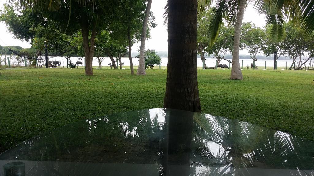 Serenity Lake Resort Yala Tissamaharama Buitenkant foto