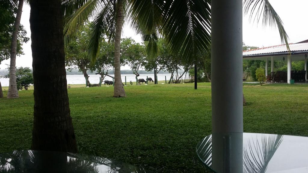 Serenity Lake Resort Yala Tissamaharama Buitenkant foto