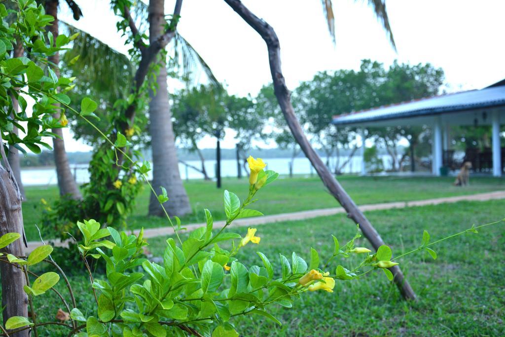 Serenity Lake Resort Yala Tissamaharama Buitenkant foto
