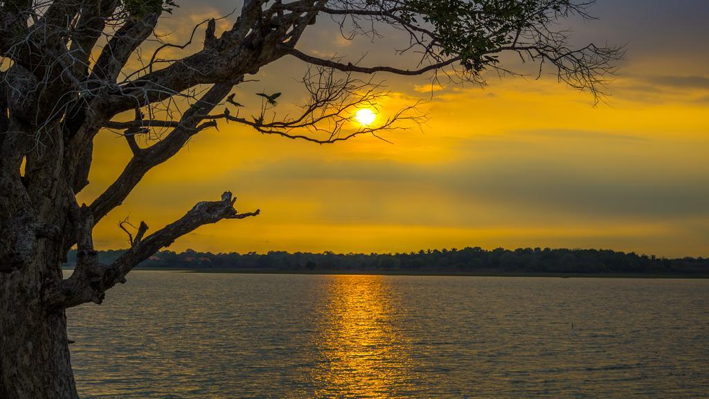 Serenity Lake Resort Yala Tissamaharama Buitenkant foto